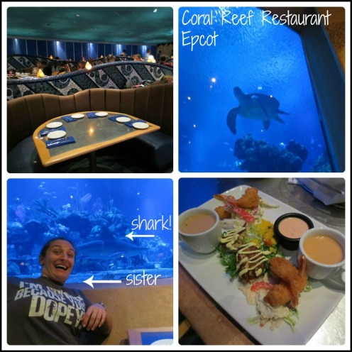 Coral Reef Collage