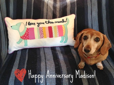 Madison Anniversary